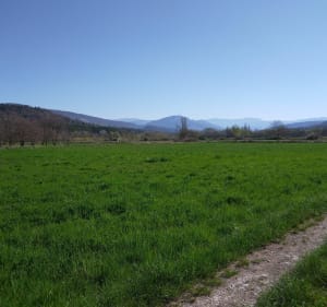 Les abords du Jabron - Noyers-sur-Jabron - 4
