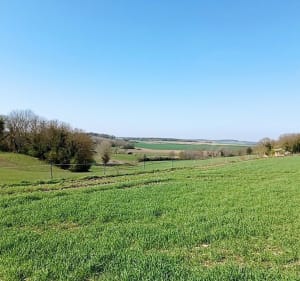 Campagne autour de Breuil - Saint-Clair-sur-Epte - 3