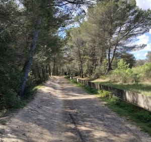 Balade le long du canal du Verdon - Aix-en-Provence - 3