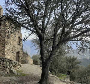 Voyage dans l'histoire du Conflent - Prades - 5
