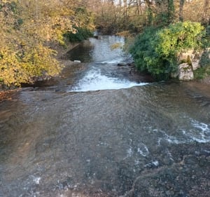Saint Etienne des Oullières,  13 km au milieu des ceps - Saint-Étienne-des-Oullières - 4