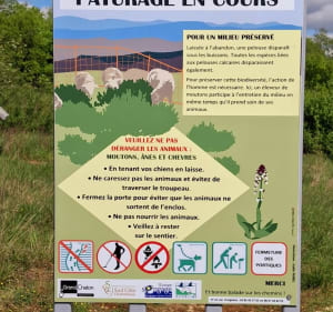 Randonnée autour de St-Jean-de-Vaux - Saint-Jean-de-Vaux - 5