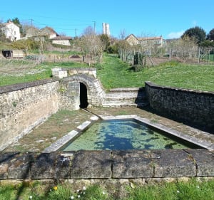 Balade du Haut Clairvaux - Scorbé-Clairvaux - 4