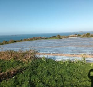 Entre Beauport et Boulguief - Paimpol - 3