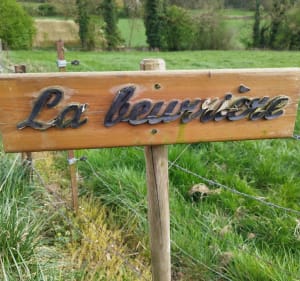 Sentier des dames à Canaples - Canaples - 5