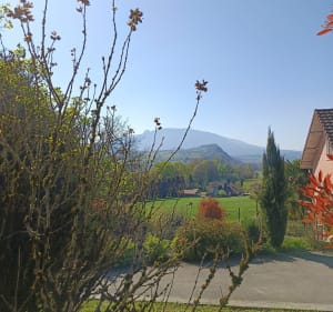 Rando pédestre de Massignieu de rives - Massignieu-de-Rives - 3