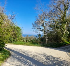 Du ruisseau de St Vaast à la plage de Villers - Villers-sur-Mer - 4