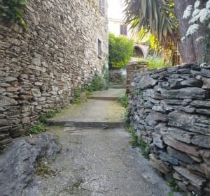 Grigione et chemin du Chiusellu à Castagnetu - San-Martino-di-Lota - 3