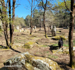 Sur le chemin des mégalithes à Erdeven - Erdeven - 4