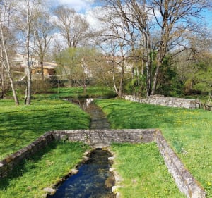 Chemins ruraux des fontaines aux hauts de Port d'Envaux - Port-d'Envaux - 4