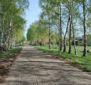 Cud nad Wisłą - Ossów - Wołomin - 4