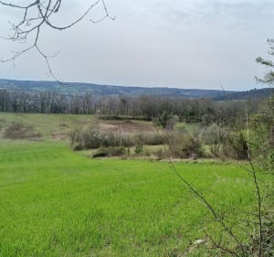 Falaise de Rochereuil - Grand-Brassac - 3