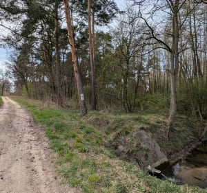 Wokół podpoznańskich jezior - Swadzim - 3