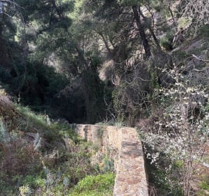 Magnifique cote bleue ! - Ensuès-la-Redonne - 3