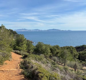 Magnifique cote bleue ! - Ensuès-la-Redonne - 4