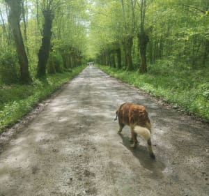 Boucle autour de Jasses - Jasses - 3