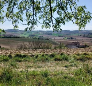 La voie romaine depuis Massac-Seran - Massac-Séran - 3
