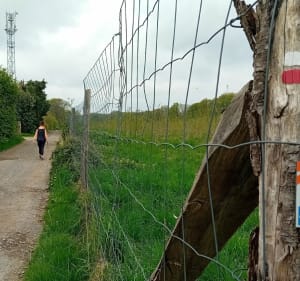 Station trail de Bagnoles-de-l'Orne - Rives d'Andaine - 5
