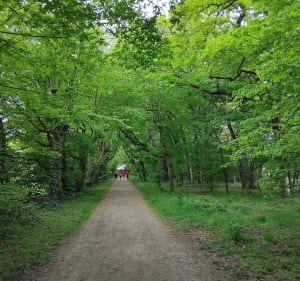 Marche autour du bourg de la Gaubretière - La Gaubretière - 5