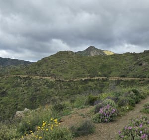 Randonnée de Portbou à la tour de Querroig - Portbou - 5