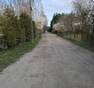 Wschodni Aleksandrów Łódzki - Aleksandrów Łódzki - 4