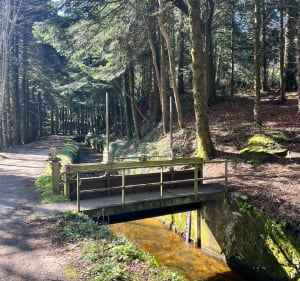Le lac des Cammazes - Les Cammazes - 4