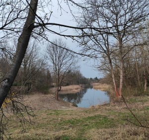 Spacer zakątkami Osiedla Podwawelskiego - Kraków - 3