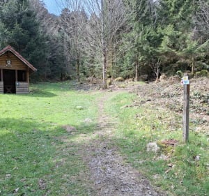 Crête du Falimont via circuit des cascades et Frankenthal - Stosswihr - 3