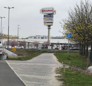 Długi spacer na Morasko - Poznań - 3
