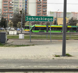 Długi spacer na Morasko - Poznań - 4