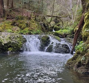 Besse, cascade de Chiloza - Besse-et-Saint-Anastaise - 3