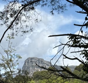 La Gaude et le parc des saletés - La Gaude - 3