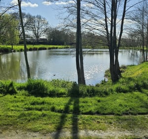 Sentier du Grenêt - Montrevault-sur-Èvre - 3