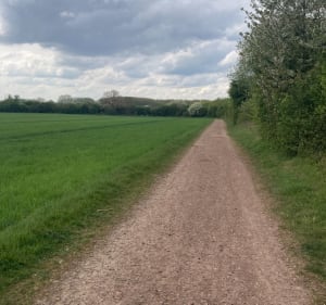 Sentier de la voie ferrée à Noyelles-lès-Vermelles - Noyelles-lès-Vermelles - 4
