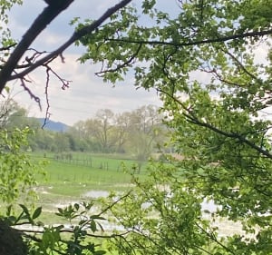 Sentier de la voie ferrée à Noyelles-lès-Vermelles - Noyelles-lès-Vermelles - 5