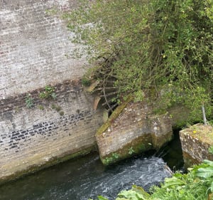 Balade familiale le long des marais de Saint-Martin-lez-Tatinghem - Saint-Martin-lez-Tatinghem - 3