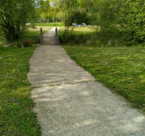 Découverte de la Marne, ses étangs, sa forêt et le Grand Moulin - La Marne - 3