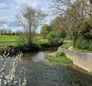 Bayeux,la fée d'Argouges - Vaux-sur-Aure - 4