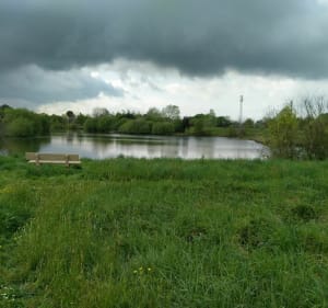 Découverte de la Marne, ses étangs, sa forêt et le Grand Moulin - La Marne - 5