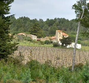 Gruissan Clape et Lido de Mateille - Gruissan - 3