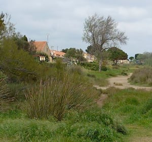 Gruissan Clape et Lido de Mateille - Gruissan - 4