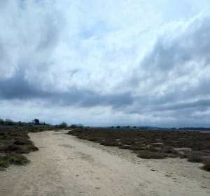 Gruissan Clape et Lido de Mateille - Gruissan - 5