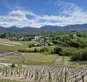 Boucle de Saint-Jeoire-Prieuré à Châteauneuf - Saint-Jeoire-Prieuré - 5