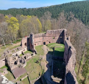 Château du Wagenbourg et château du Freudeneck - Wangenbourg-Engenthal - 3