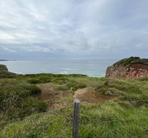 Promenade au pied du château d’Abbadia - Hendaye - 4