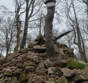 Wyjście na Kamień (zwany Bieszczadem) - Lipowiec - 5