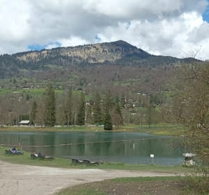 En forêt entre Lac Bleu(Morillon) et Lac des Dames (Samoëns) - Verchaix - 5