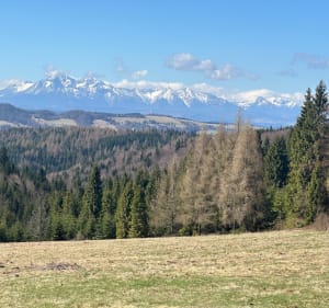 Radziejowa - Piwniczna-Zdrój - 4