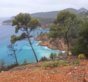 Partie sentier du littoral côté Bandol - Bandol - 5