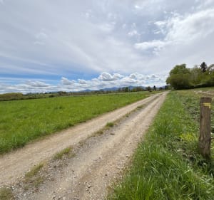 Houeydets : boucle en forêt et champs - Houeydets - 5